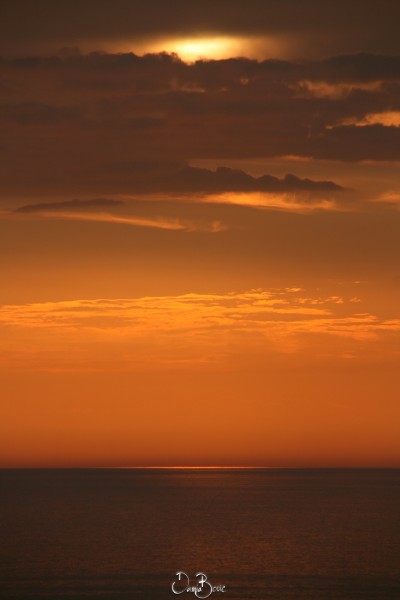 IMG_10203
