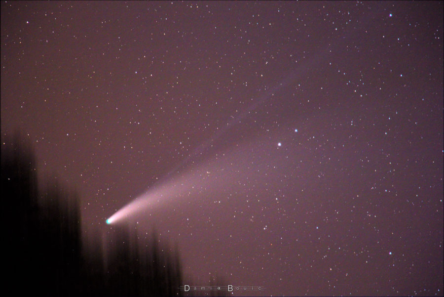 Champs stellaire large, la comète occupe une grande place, elle s'étire de gauche à droite, et montre une queue de couleur bleu profond au dessus d'une seconde blanche