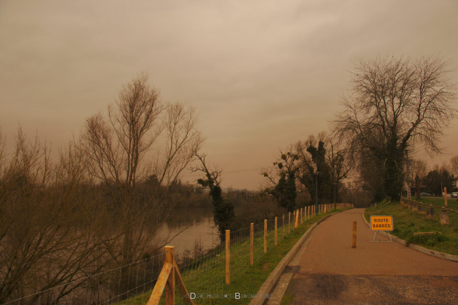 Piste cyclable longeant la Dordogne, bordée d'arbres sans feuilles, et de quelques arbres morts envahis par le lierre, dans une ambiance ocre