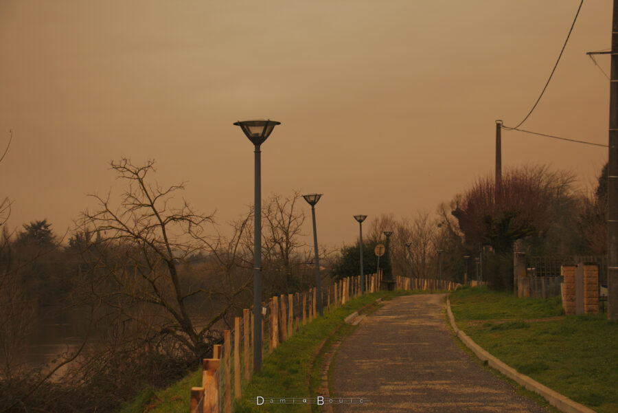 Zoom dans le prolongement du chemin de bitume défoncé, bordé de lampadaires qui ne sont pas tous droits, et un cloture en bois récemment installée. De l'autre côté, d'autres arbres sans feuilles