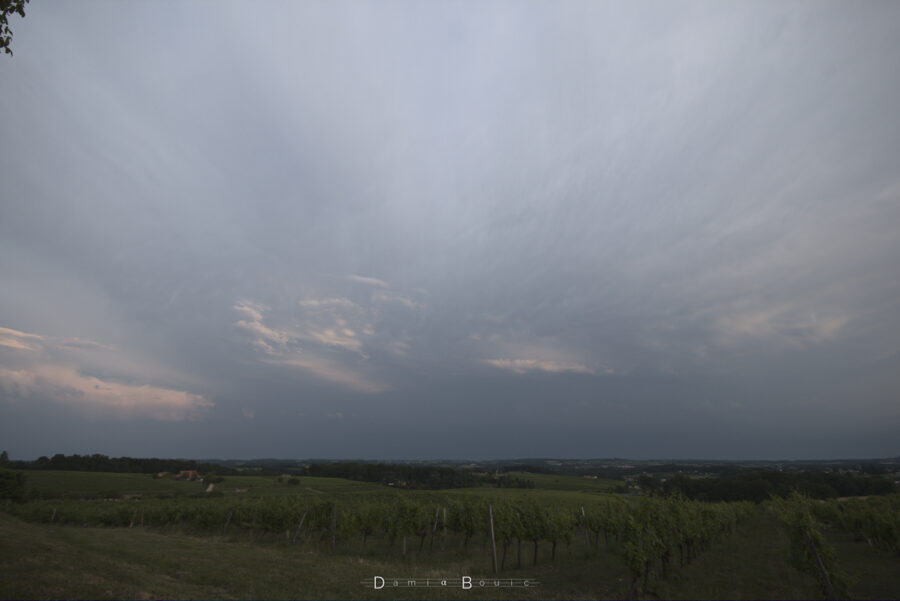 Paysage de vignes et de collines dégagé. Ciel sombre au loin, des nuages plus clairs à la faveur du Soleil couchant.