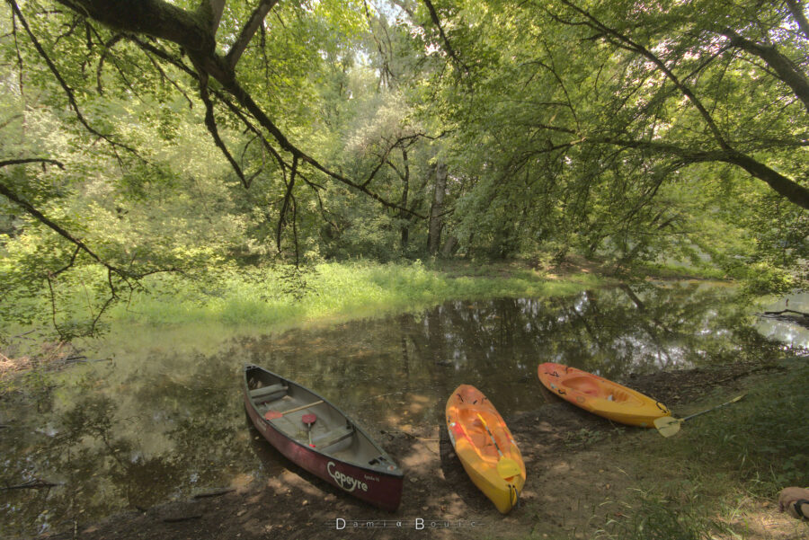 Un canoé et deux kayak sur le bord d'un bras d'eau sous la forêt