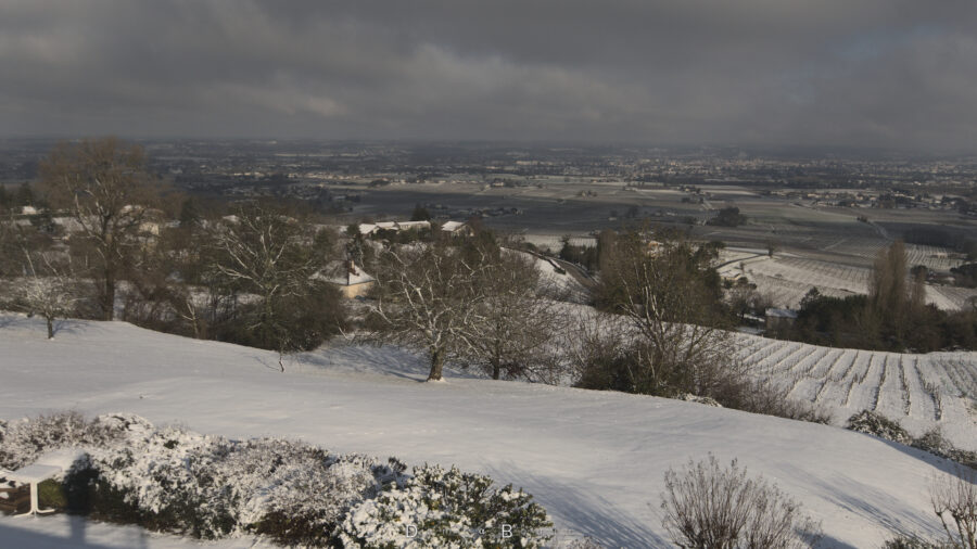 La colline en avant est lisse sous la neige, des arbres semblent la garder. Un toit blanchi entre deux branches. Et au loin, s'étire la vallée, striée par les rangs impeccables des champs de vigne.