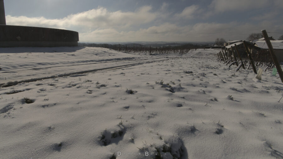 La neige au sol, avec quelques brins d'herbe qui dépassent