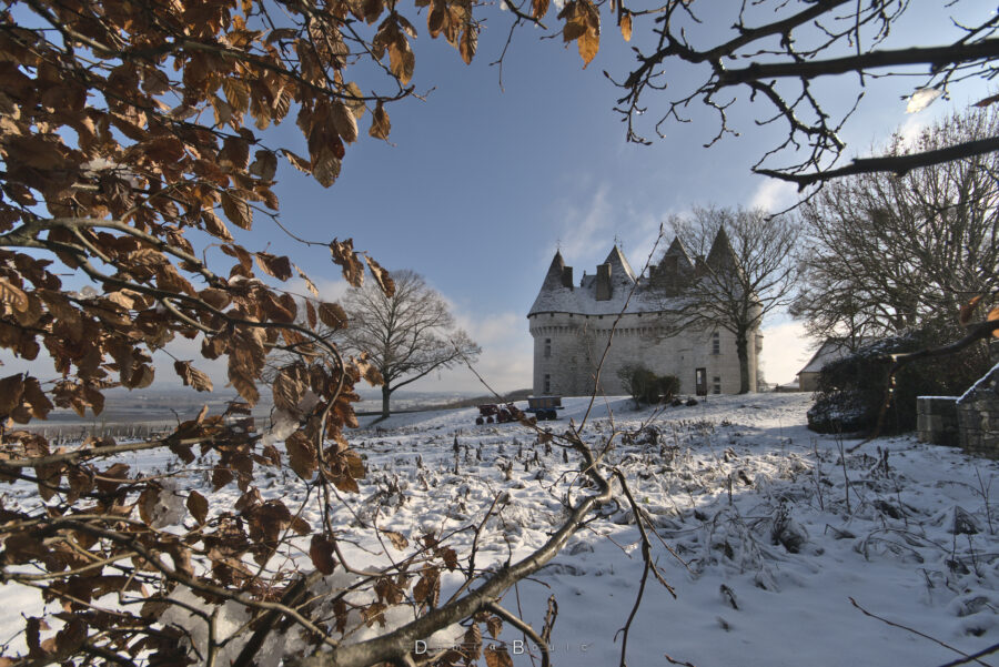 De la végétation encadre l'image de toute part, surtout à gauche. Au milieu droit, un dégagement permet de voir le chateau de Monbazillac, avec ses toits pointus et coniques.