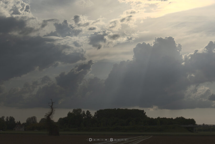 Zoom sur des congestus vus en ombre chinoise, contre-jour, dont les ombres tracent des rais de lumière devant eux.