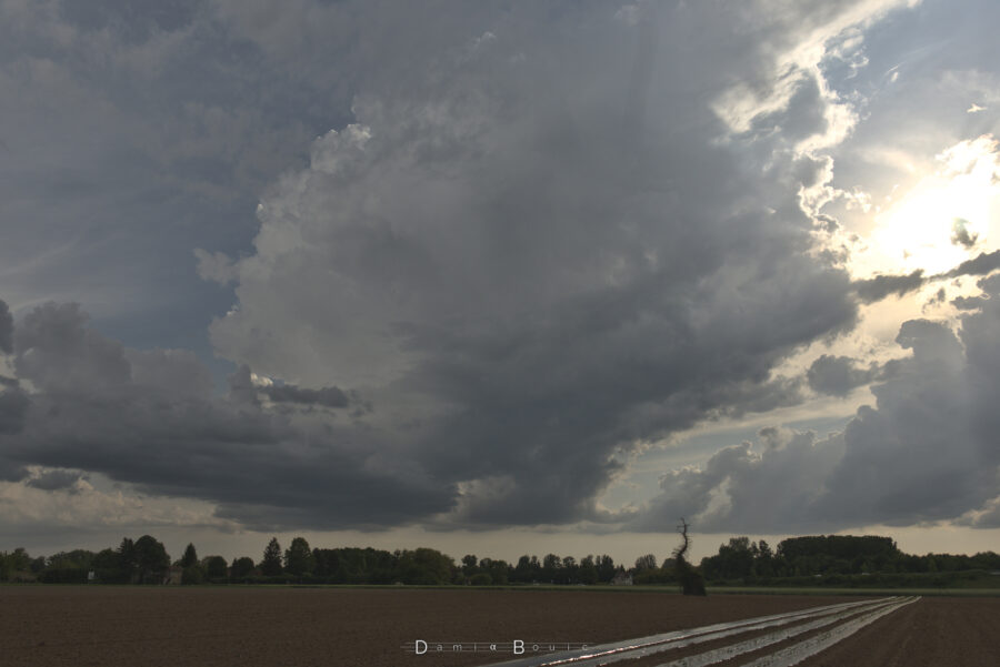 Un nuage d'orage en formation. La base est lisse et compacte. Le corps s'étire verticalement vers l'horizon et le sommet présente de nombreuses cumulifications.