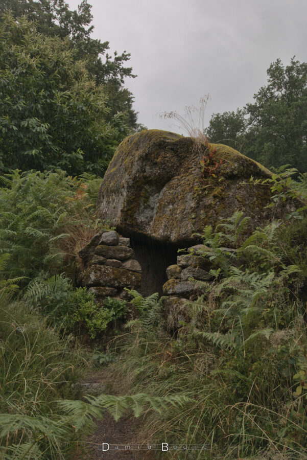 Dans une clairière, entourée de fougères denses, un rocher est disposé de manière à offrir un trou en dessous, comme l'entrée d'une grotte improbable