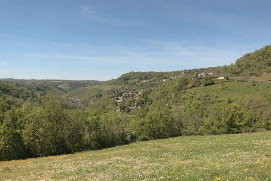 Paysage de collines avec vallée sur la gauche, un village sur une pente, une rangée d'arbres en avant qui sert d'arriere-plan à un champ fleuri