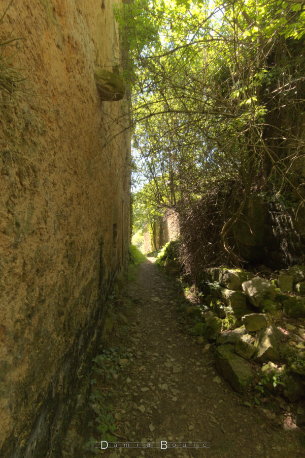A l'ombre d'une paroi de mur en pierre très ancien, le chemin à son pied, étroit avec végétation imposante à l'opposé du mur, mais très proche