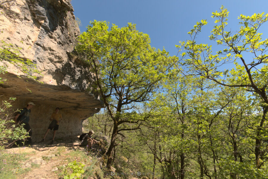Repos au pied d'une paroi de falaise érodée, formant un col inversé dans lequel on peut s'abriter du Soleil, tout à gauche. Le reste de l'image : des arbres dont le feuillage est d'un vert éclatant.