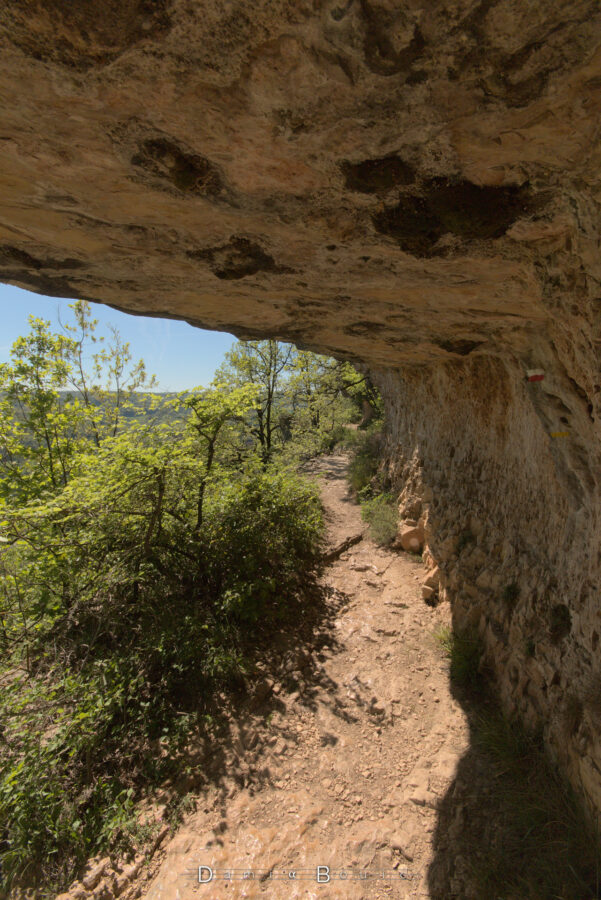 Sous la falaise, qui forme un mur et un abri, le chemin terreux le longe, bordé d'une végétation peu épaisse