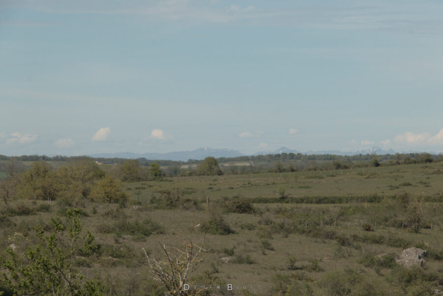 Zoom sur l'horizon qui dévoile ce paysage de causses, qui mêle petits arbres et champs d'herbe rases. Au loin, derrière l'horizon, se dressent des reliefs déchirés et ponctués de neige : c'est le Massif Central. Quelques cumulus humilis planent en avant