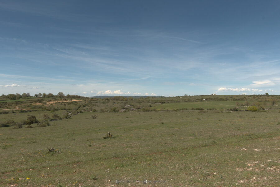 Encore ce paysage de causses typiques, la roche apparaît parfois là où l'herbe ne peut pas pousser. C'est légèrement ondulé. Le ciel est cireux, quelques cumulus plus important se développent sur le lointain