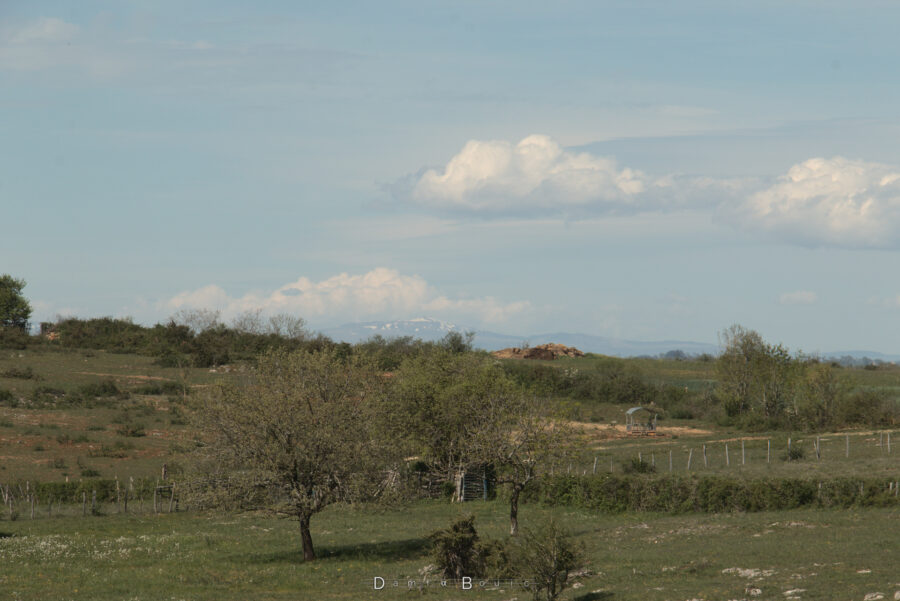 Quelques champs aux bordures délimitées par des haies et des clôtures, un distributeur de foin posé là, tout petit dans ce cliché fortement zoomé. Tout au fond, le Plomb du Cantal, le sommet du massif central, tacheté de neige. Quelques cumulus roulent sur le ciel