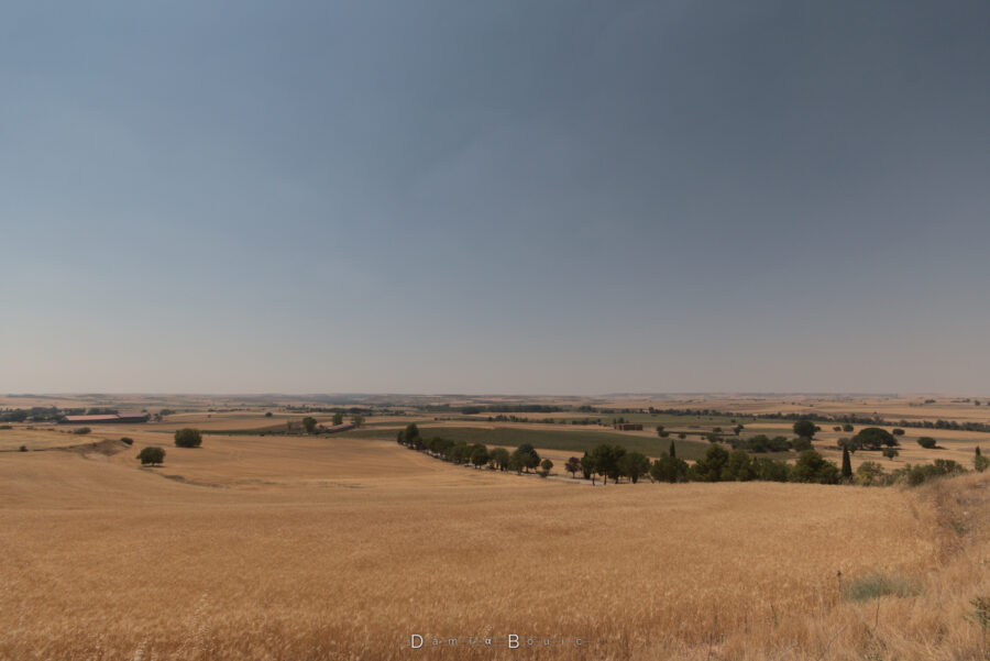Le paysage du plateau espagnol. Devant, un grand champs de blé doré voir grillé au Soleil. Plus loin, les collines s'étirent, vallonnant entre de petits bocages. L'horizon semble vraiment loin, et le ciel est bleu.